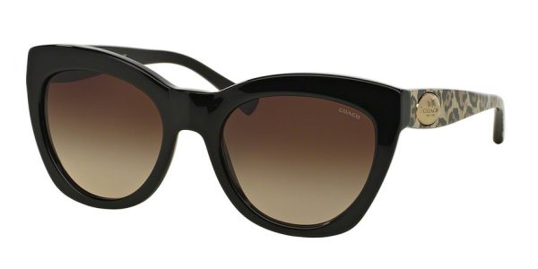 Coach HC8151F Cat Eye Sunglasses Online now - Image 2