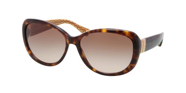 Coach HC8040B Cat Eye Sunglasses Discount