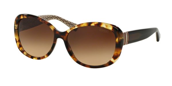 Coach HC8040B Cat Eye Sunglasses Discount - Image 2