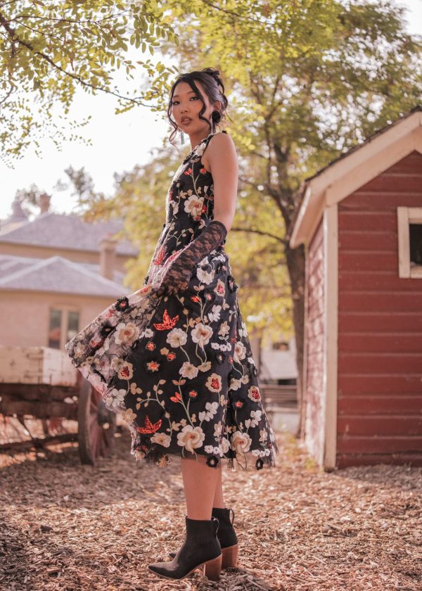 Lilith Dress Hot on Sale - Image 5